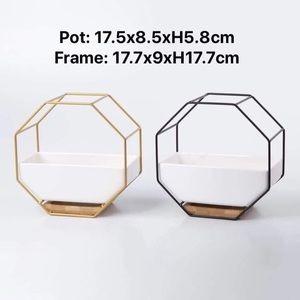 Succulent ceramic pot with metal frame